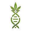 TerpDNA Icon